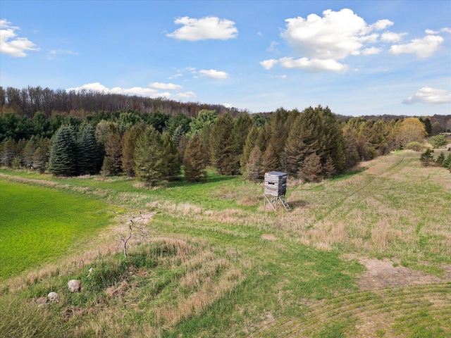 view of yard featuring a view of trees