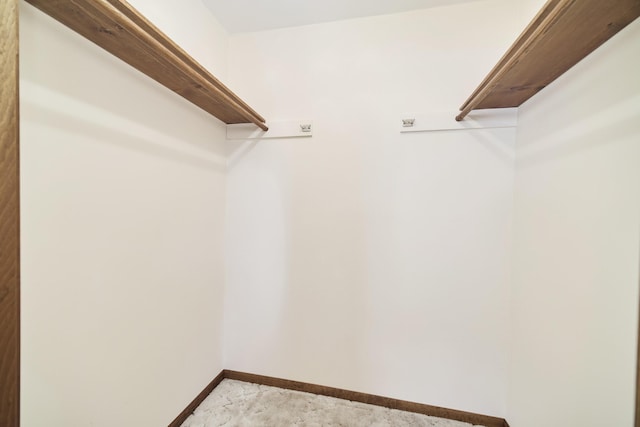 spacious closet featuring carpet floors
