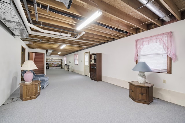 basement featuring carpet floors
