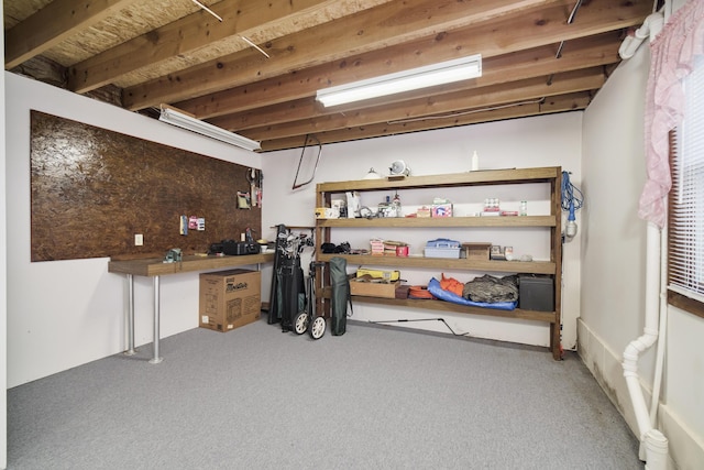 view of storage room