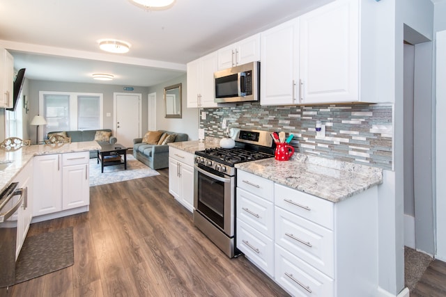 1291 E Lake Dr, Novi, MI 48377 - kitchen featuring stainless steel appliances, dark wood-type flooring, open floor plan, and tasteful backsplash