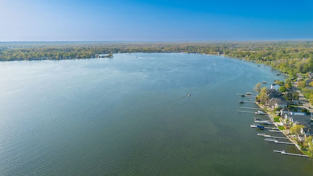 1291 E Lake Dr, Novi, MI 48377 - water view with a forest