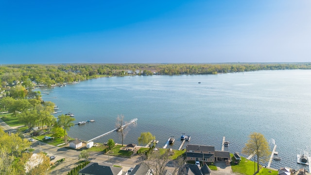 1291 E Lake Dr, Novi, MI 48377 - water view