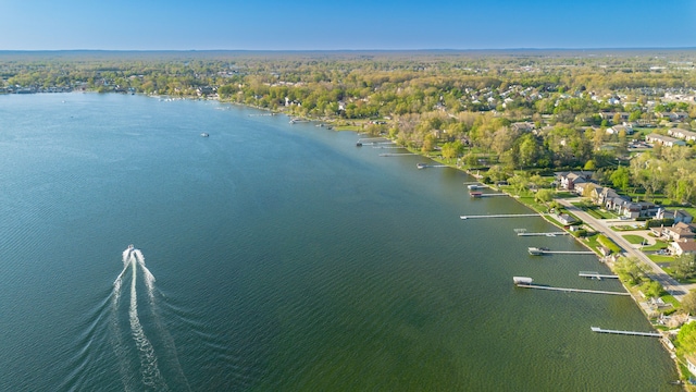 1291 E Lake Dr, Novi, MI 48377 - aerial view of property's location featuring a large body of water
