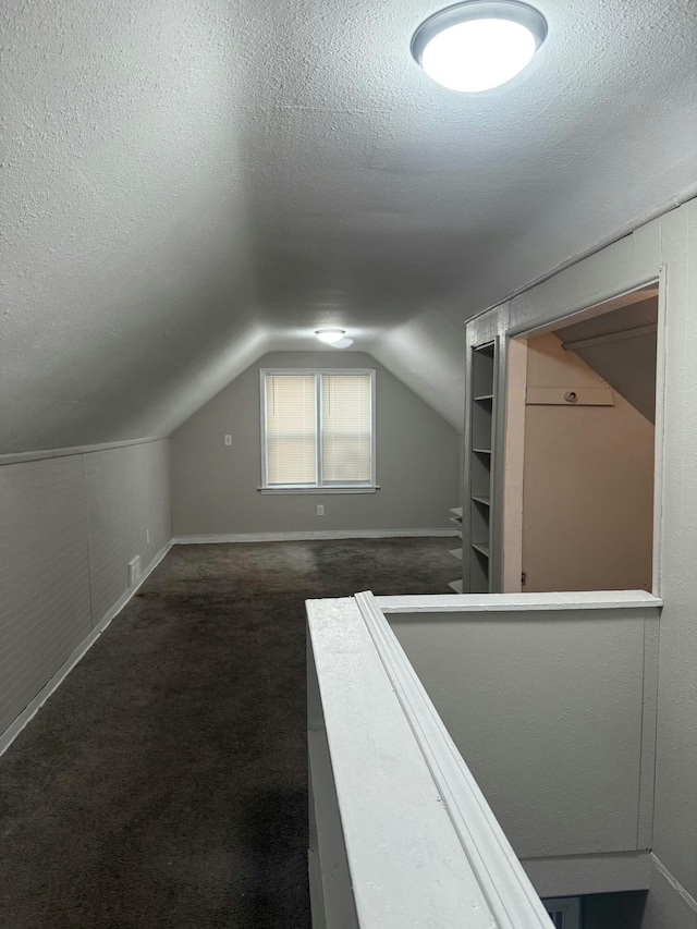 additional living space featuring carpet, a textured ceiling, and lofted ceiling