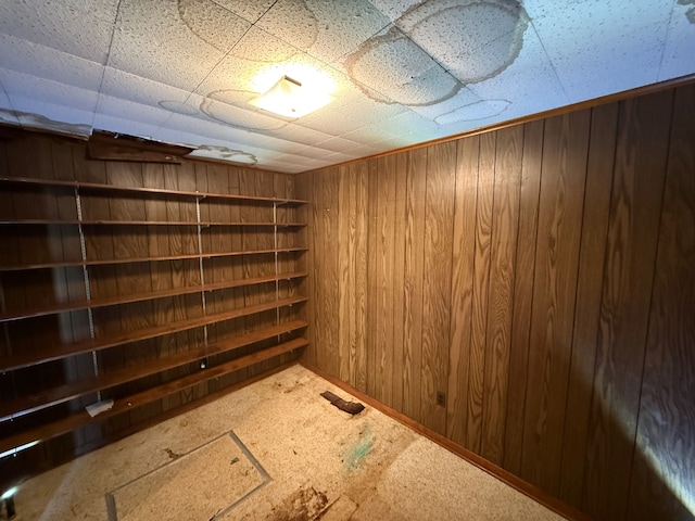 2964 Morin Point St, Erie, MI 48133 - finished below grade area with wood walls