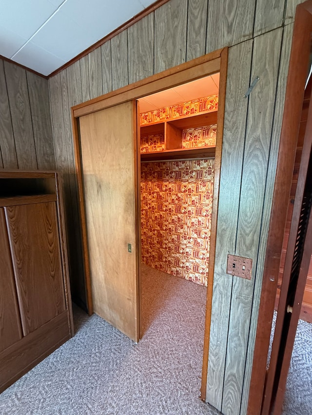 2964 Morin Point St, Erie, MI 48133 - view of closet