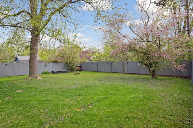 view of yard featuring a fenced backyard