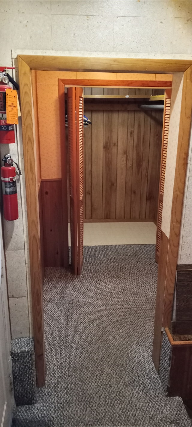 hallway featuring carpet floors
