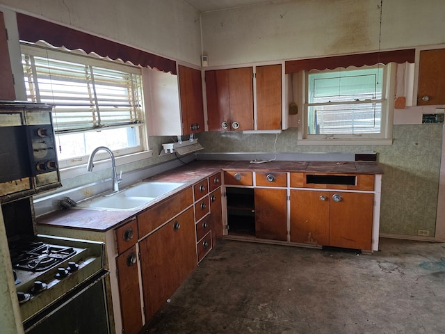 1315 Mitchell St, Jackson, MI 49203 - kitchen with gas stove, black microwave, brown cabinetry, and a sink