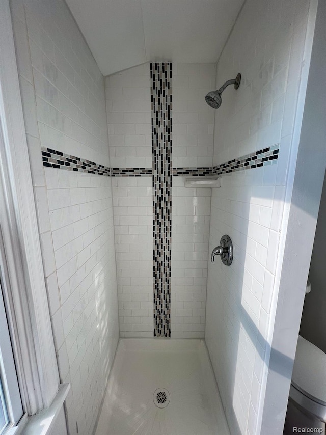 16895 Cruse St, Detroit, MI 48235 - bathroom featuring a shower stall, toilet, and vaulted ceiling