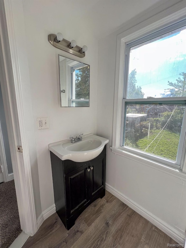 16895 Cruse St, Detroit, MI 48235 - bathroom with vanity, wood finished floors, and healthy amount of natural light