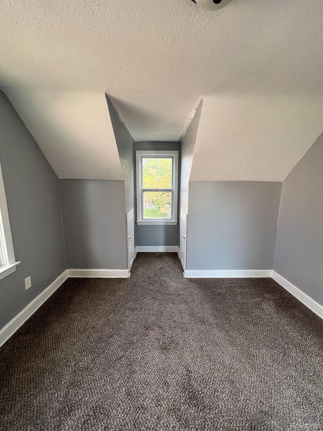16895 Cruse St, Detroit, MI 48235 - bonus room featuring lofted ceiling, dark colored carpet, a textured ceiling, and baseboards