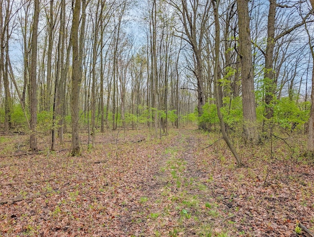 view of nature with a view of trees