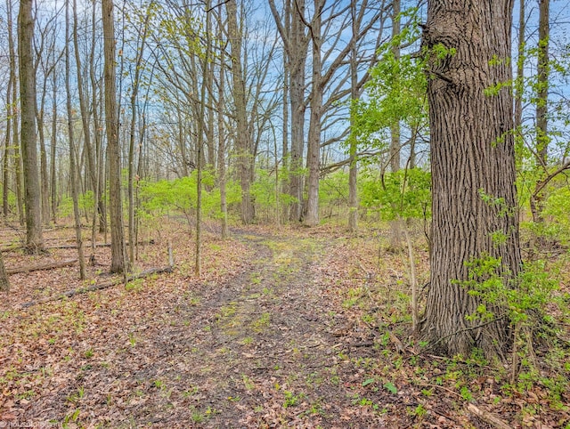 view of nature featuring a forest view