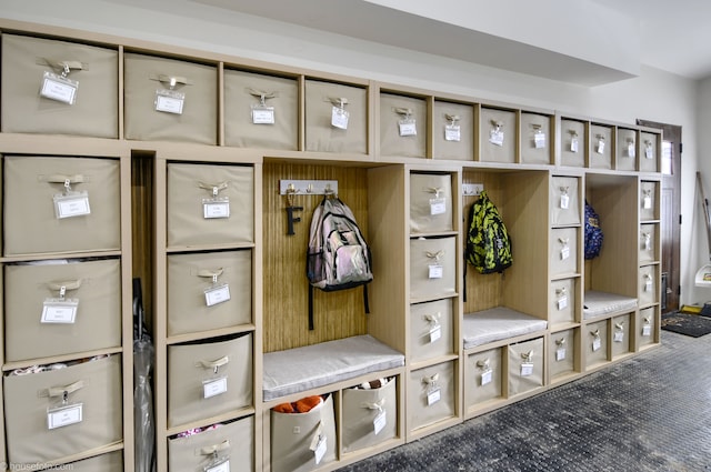 mudroom with carpet