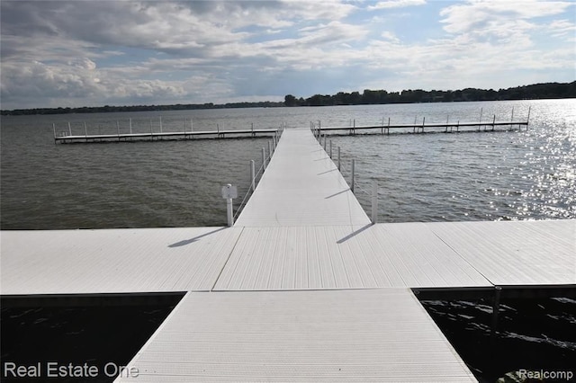 dock area with a water view