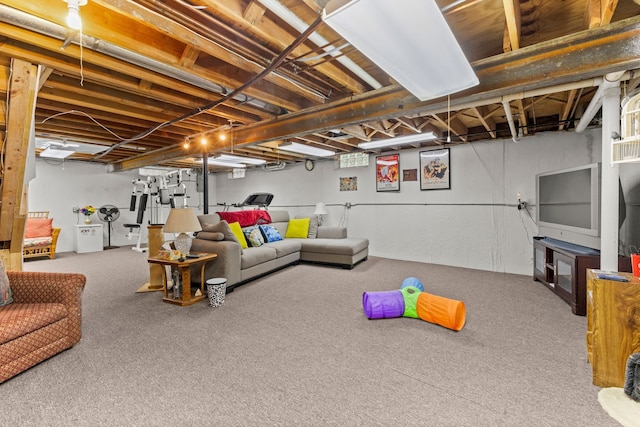 26901 Ann Arbor Trl, Dearborn Heights, MI 48127 - below grade area with carpet flooring