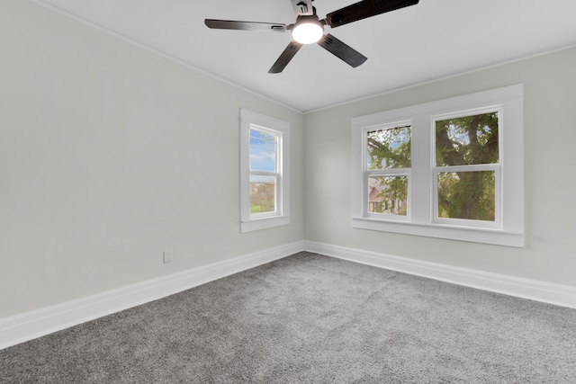 carpeted spare room with baseboards, a ceiling fan, and ornamental molding