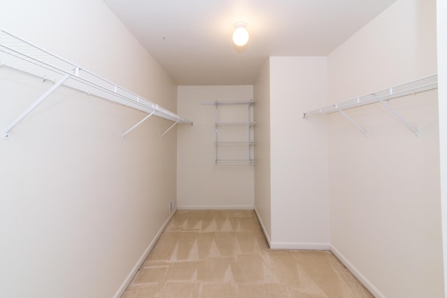 walk in closet with light colored carpet