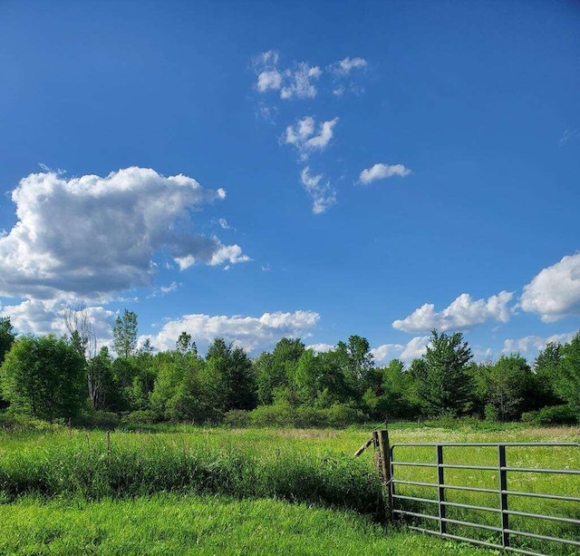 18664 Bradstreet Rd, Hudson, MI 49247 - view of local wilderness with a rural view