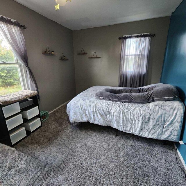 18664 Bradstreet Rd, Hudson, MI 49247 - bedroom featuring carpet flooring