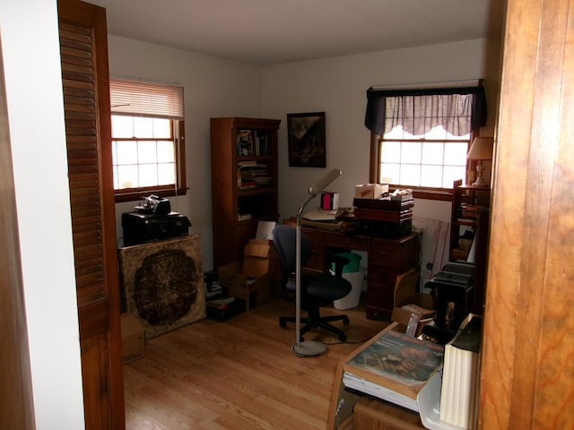 home office featuring wood finished floors