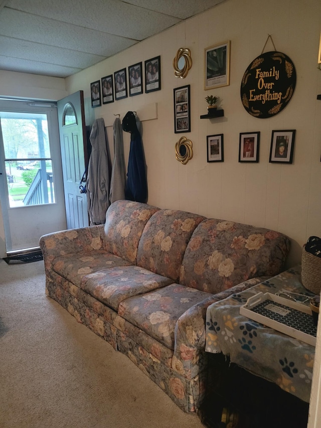 living area featuring carpet flooring