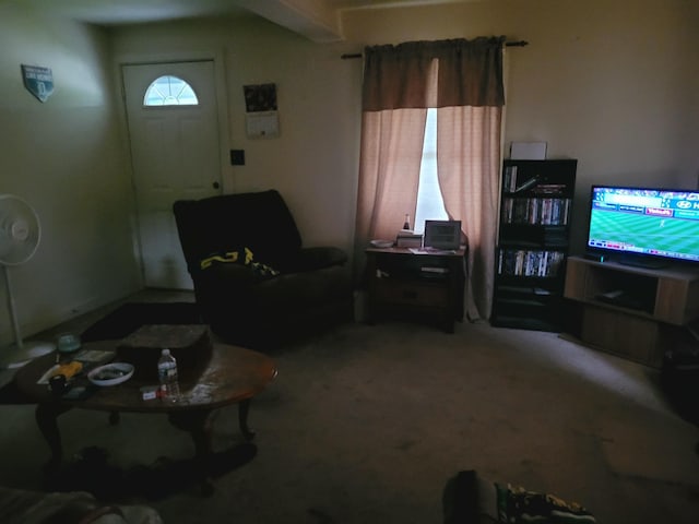 living room with carpet