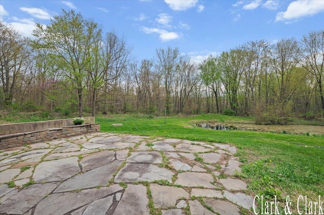 view of patio with a view of trees