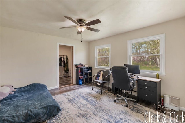 interior space featuring a walk in closet, baseboards, a ceiling fan, and wood finished floors