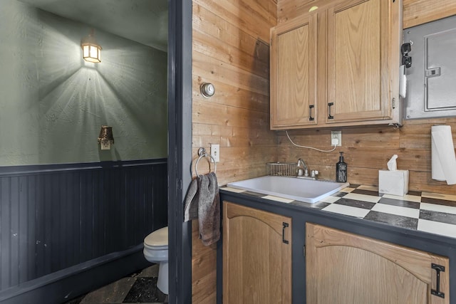 37 N Monroe St, Coldwater, MI 49036 - interior space featuring toilet, wood walls, vanity, and decorative backsplash