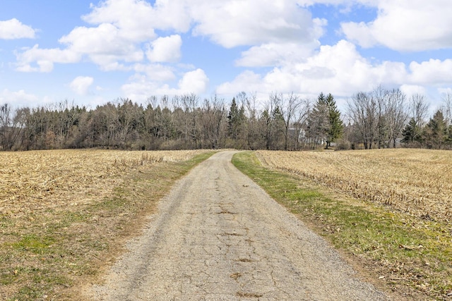 9875 Rountree Rd, Hanover, MI 49241 - view of street featuring a rural view and a wooded view