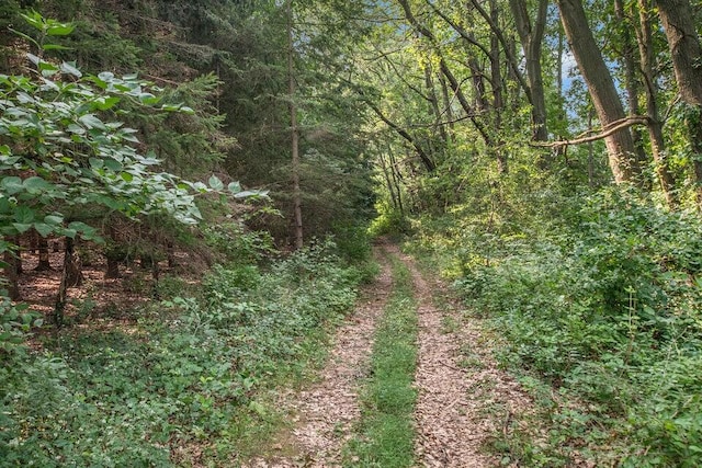 9875 Rountree Rd, Hanover, MI 49241 - view of nature with a wooded view
