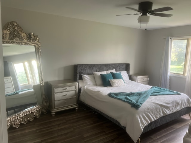 17540 Edward Cir, Clinton Township, MI 48038 - bedroom featuring multiple windows, dark wood finished floors, and a ceiling fan