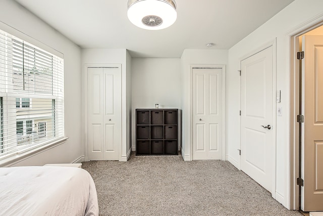 587 Anne Ave, Brighton, MI 48116 - carpeted bedroom with two closets and baseboards