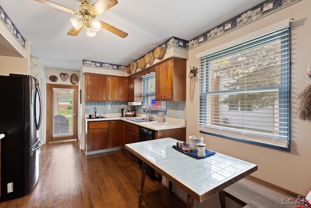 1402 Westhaven Blvd, Tecumseh, MI 49286 - kitchen featuring freestanding refrigerator, a sink, dark wood-type flooring, and plenty of natural light
