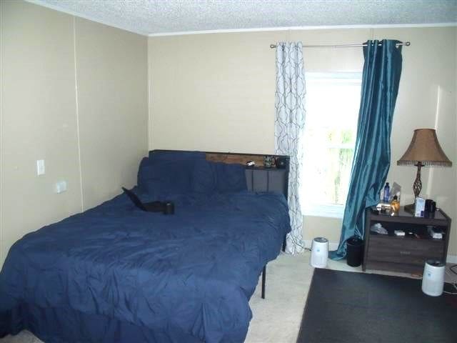 bedroom featuring crown molding and a textured ceiling