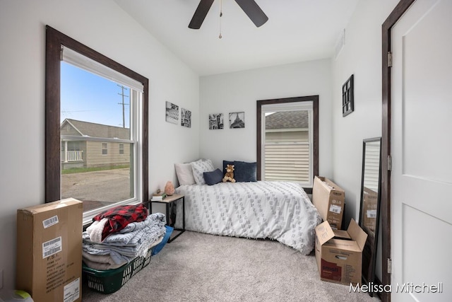 506 Fairview Ave NE, Grand Rapids, MI 49503 - bedroom featuring carpet and a ceiling fan