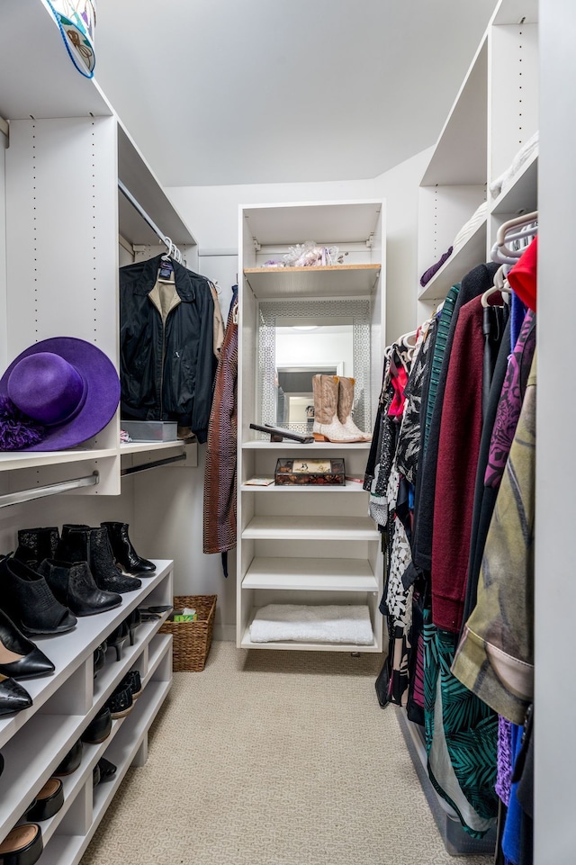 walk in closet featuring carpet floors