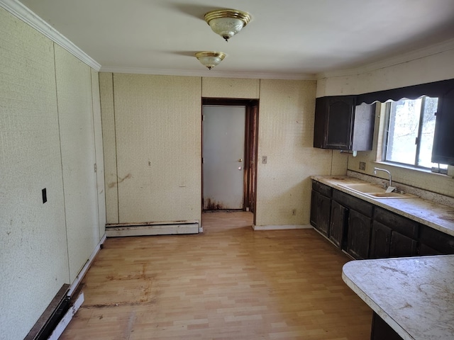 12416 Nichols Rd, Montrose, MI 48457 - kitchen featuring a sink, crown molding, light wood-style floors, and a baseboard heating unit