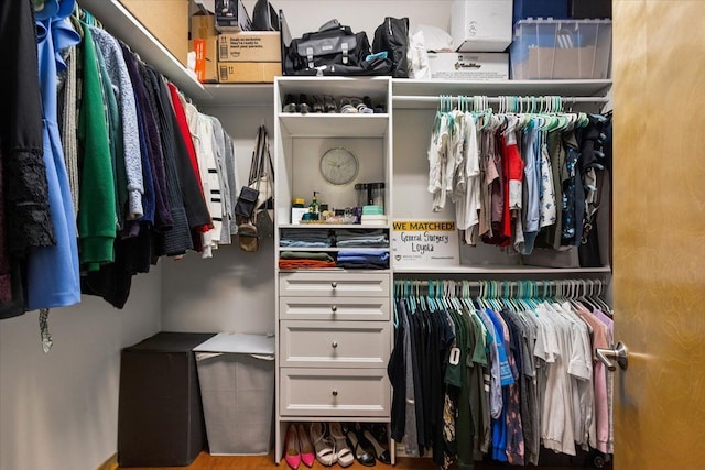 444 W Willis St Unit 204, Detroit, MI 48201 - view of walk in closet