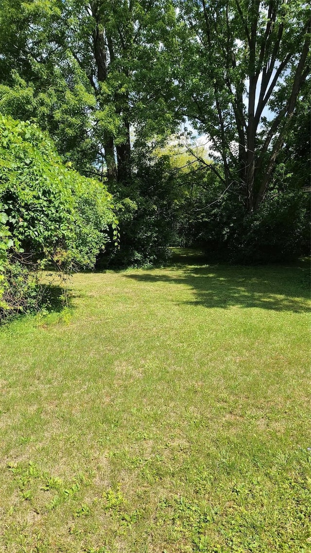 6225 Farmington Rd, West Bloomfield, MI 48322 - view of green lawn
