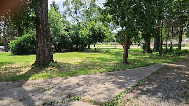 6225 Farmington Rd, West Bloomfield, MI 48322 - view of green lawn