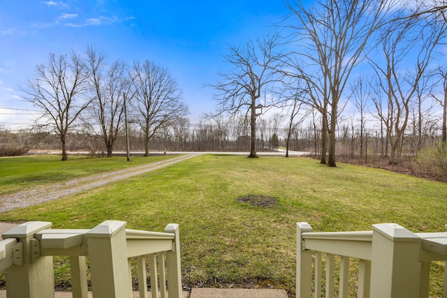 view of yard