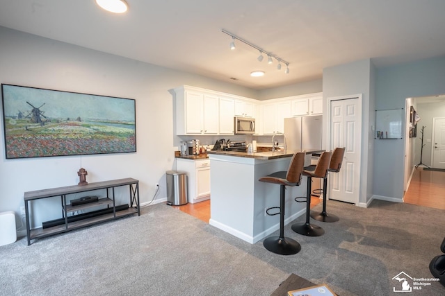 kitchen featuring white cabinets, rail lighting, appliances with stainless steel finishes, and carpet floors