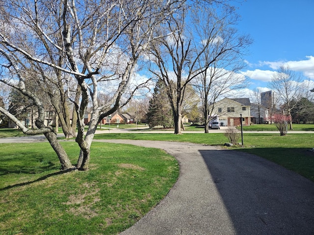 exterior space with a lawn and curved driveway