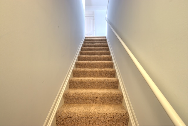 24179 Charlevoix St, Flat Rock, MI 48134 - staircase featuring carpet floors