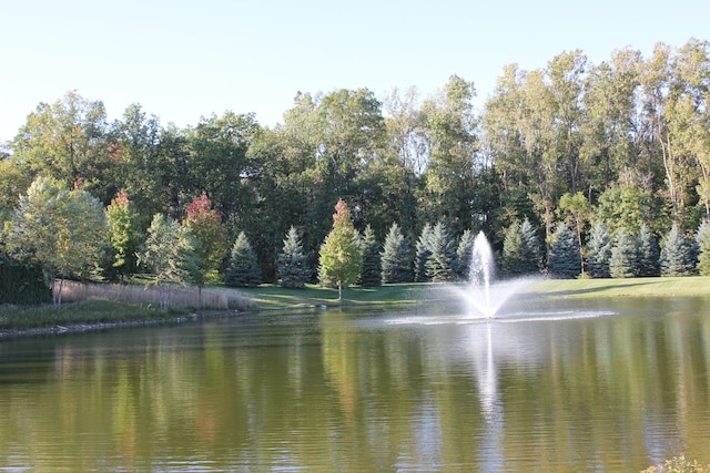 24179 Charlevoix St, Flat Rock, MI 48134 - water view