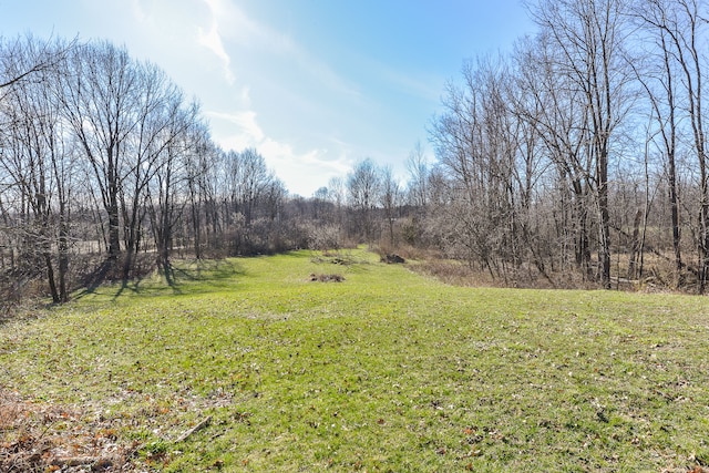 4780 Dutcher Rd, Howell, MI 48843 - view of yard